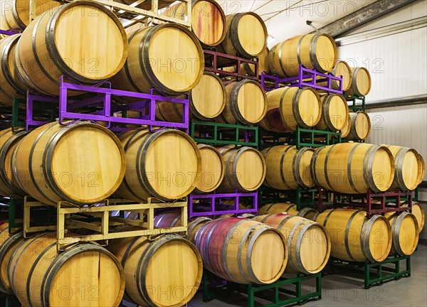 Wine barrels on racks in cellar