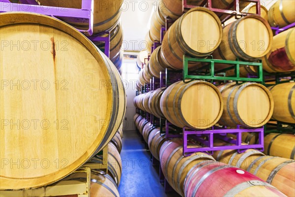 Wine barrels on racks in cellar