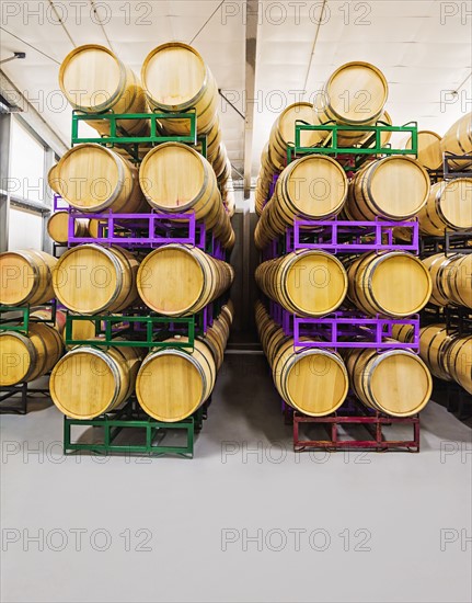 Wine barrels on racks in cellar