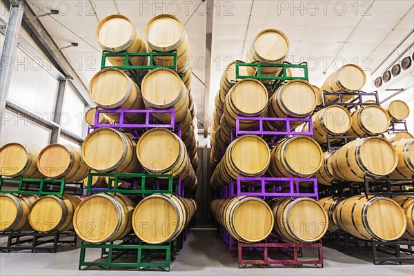 Wine barrels on racks in cellar