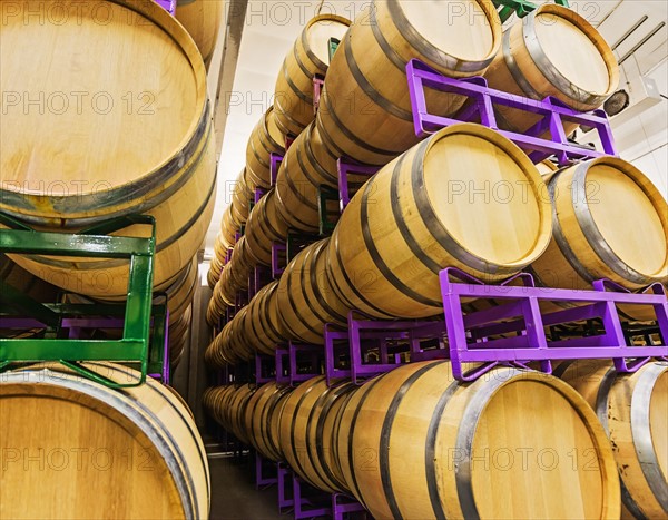 Wine barrels on racks in cellar