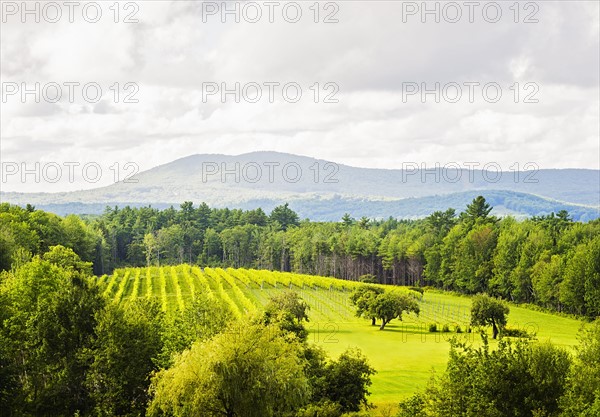 Scenic green landscape under cloudy sky