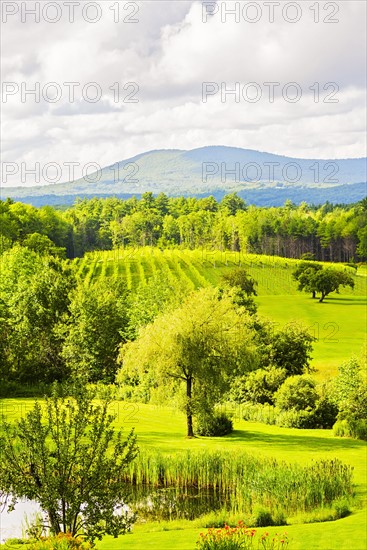 Scenic green landscape under cloudy sky