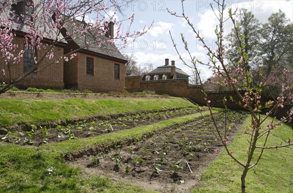 House with garden