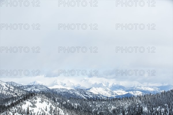 Landscape with mountains and forest in winter