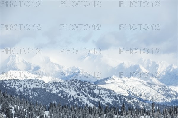 Landscape with mountains and forest in winter