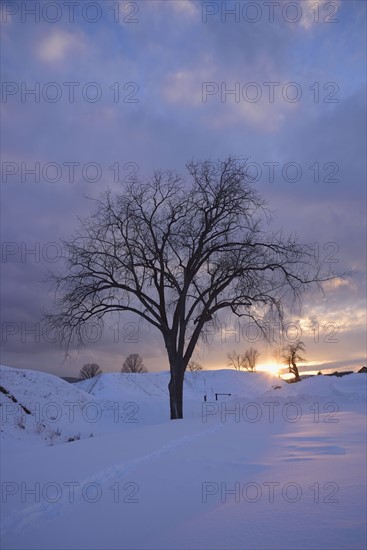 Sunset on winter day on banks of Lake Champlain