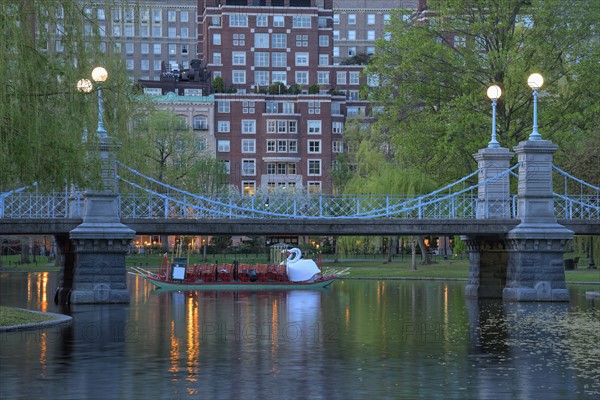 Boston public garden at dawn