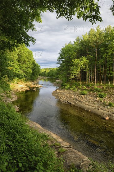 View of Williams River