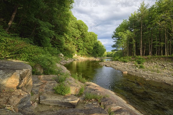 View of Williams River