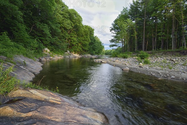 View of Williams River