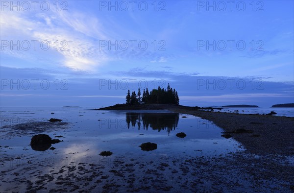 Low tide at Owls Head at dawn