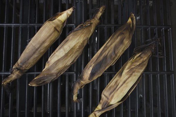 Directly above view of corncobs on barbecue