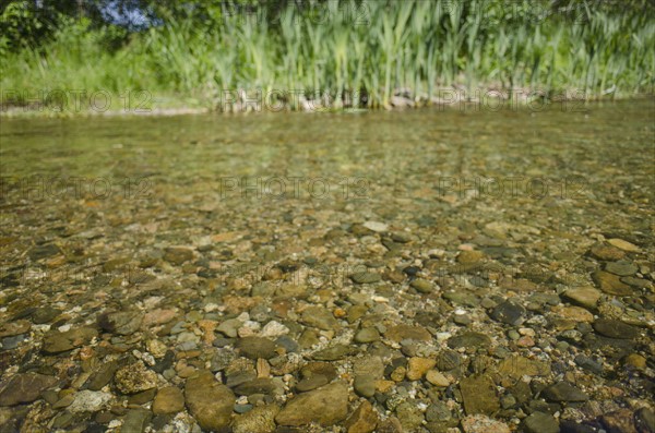 Close-up of water in river