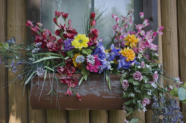 Close-up of potted flowers