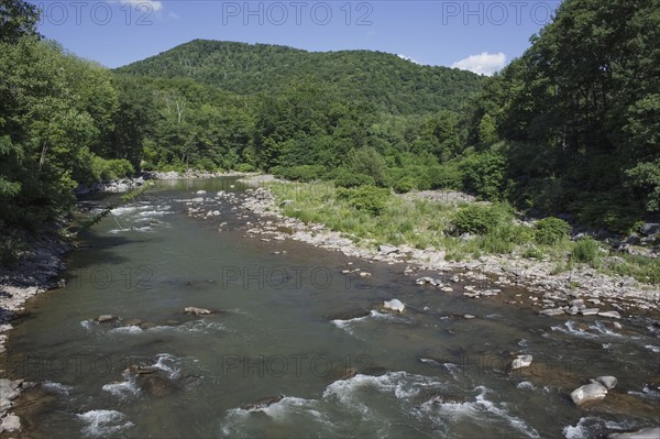 View of river on sunny day