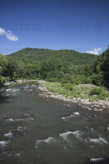 View of river on sunny day