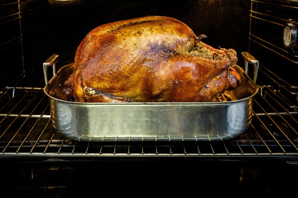 Roasted turkey for Thanksgiving in oven.