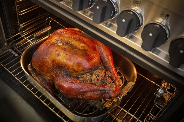 Roasted turkey for Thanksgiving in open oven.