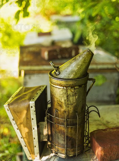 Hope, Bee smoker on beehive