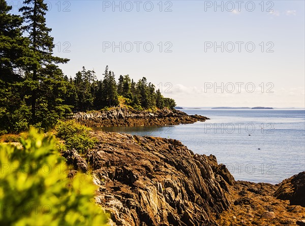 Sea coastline