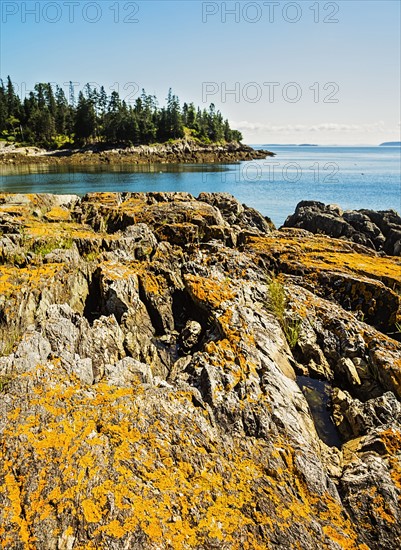 Sea with rocky coastline