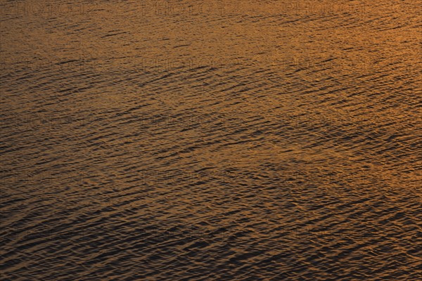 Rippled water reflecting golden light