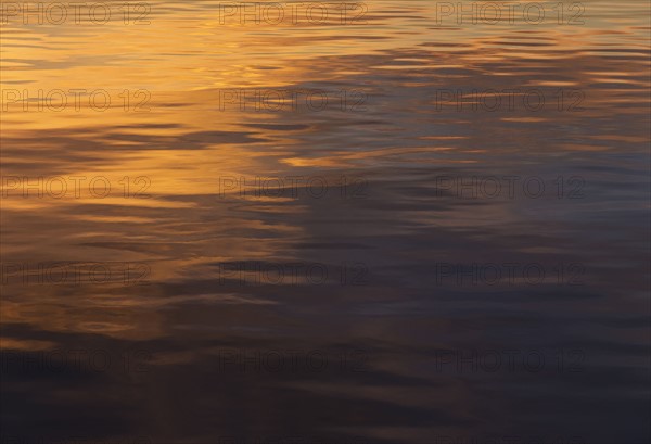 Rippled water reflecting golden light