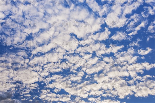 Soft white clouds on sky