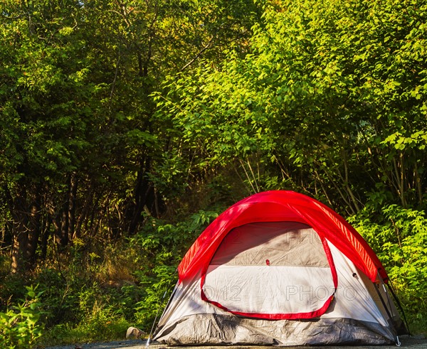 Tent in forest