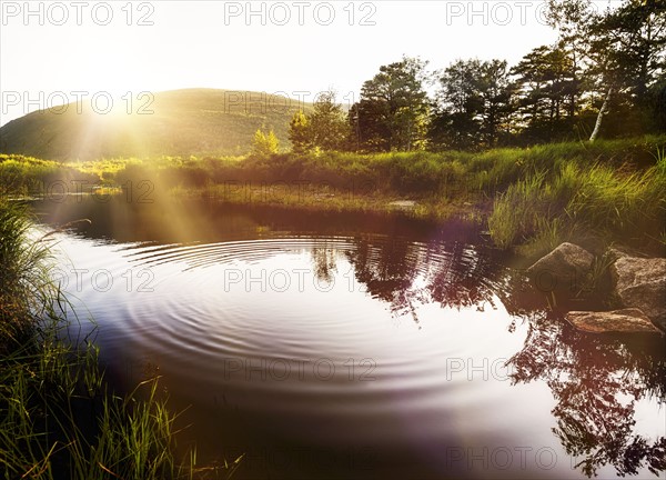 Ripples on pond in Acadia National Park