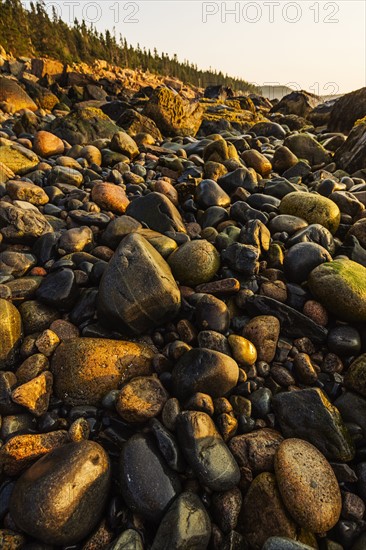 Rocks on beach at sunrise