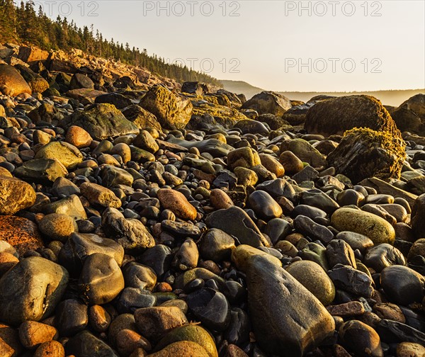 Rocks on beach at sunrise