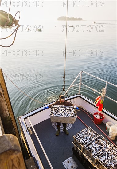 Man loading fish on boat