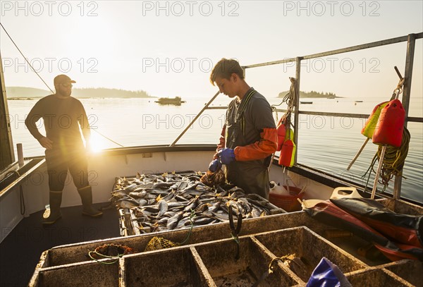 Two fishermen working on boat