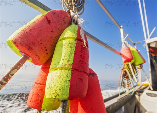 Lobster buoys tied to railing