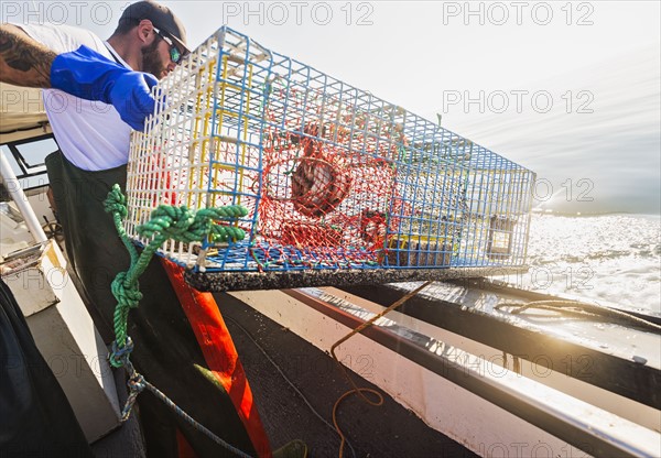 Fisherman throwing lobster trap