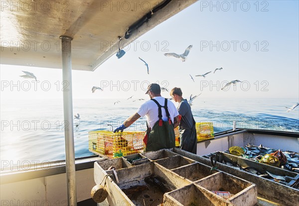 Two fishermen throwing lobster traps