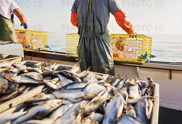 Two fishermen throwing lobster traps