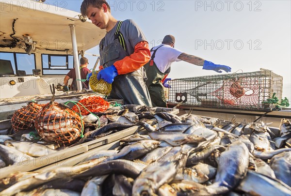 Three fishermen working on boat