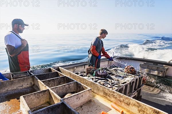 Two fishermen cleaning boat