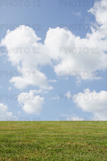 Green meadow with cloudy sky