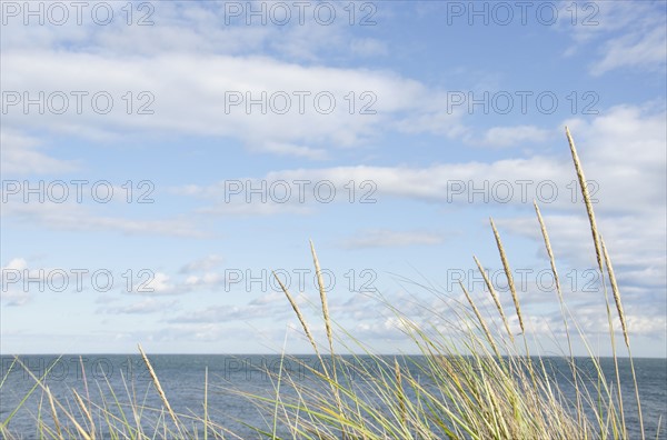 Tranquil seascape