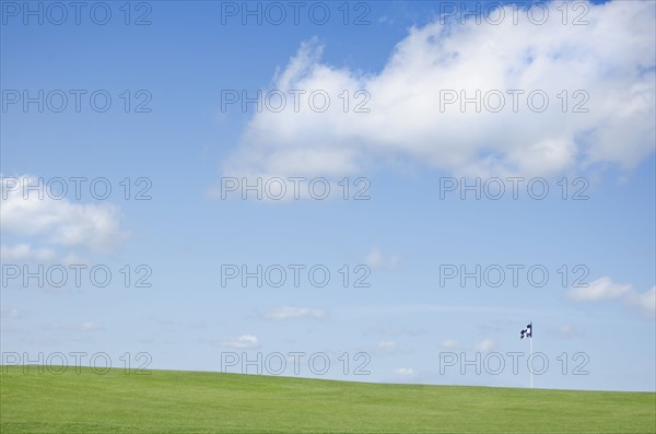 Green field with blue flag