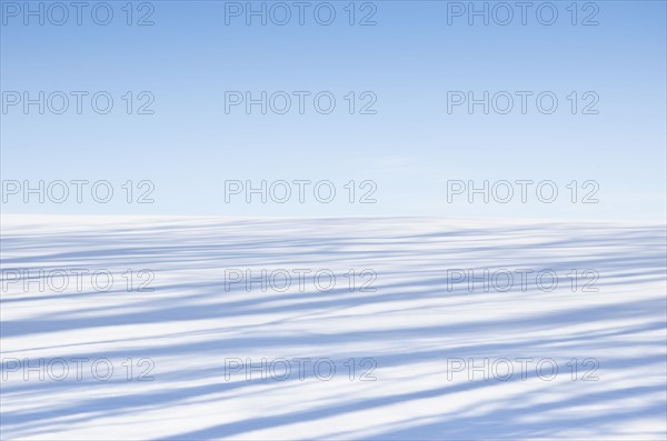 Shadows on snowy field