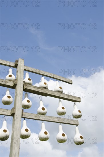Birdhouses made of gourds