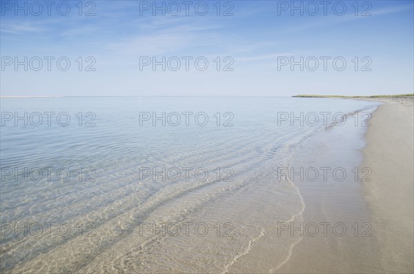 Coastline of sandy beach