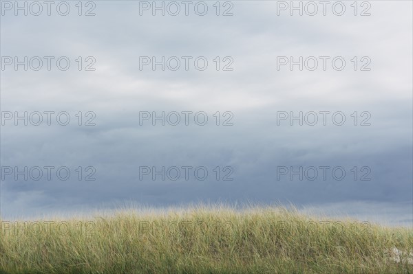 Cloudy sky and meadow