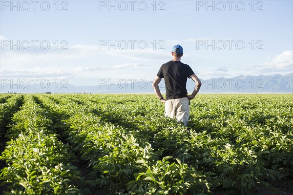Rear view of mature man standing in field