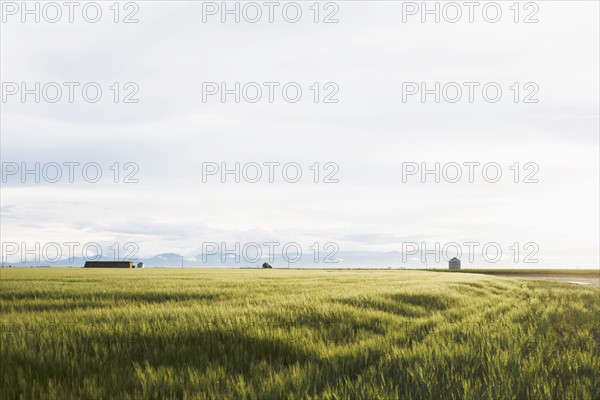 Scenic rural landscape